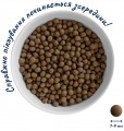 Home Food Adult Mini Trout/Rice 10 kg
