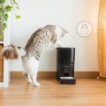Cecotec Pumba 6000 Purrfect Meal