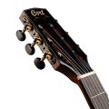 Cort Gold OC8 Nylon