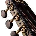 Cort Gold OC8 Nylon