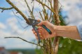 GARDENA PremiumCut 12250-20