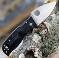 Spyderco Lil' Temperance 3