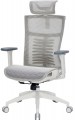 OfficePro Balance OC620