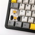 A-Jazz AK680 MAX Magnetic Rice Switch