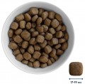 Home Food Adult Maxi Trout/Rice 10 kg