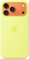 Apple Silicone Case with MagSafe for iPhone 17 Pro Max