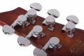 Schecter C-1 E/A Classic