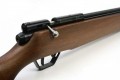 Crosman Benjamin Discovery