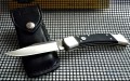 BUCK Folding Hunter Auto Elite