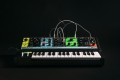 Moog Grandmother