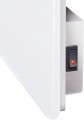 SunWay SWGT 450x900