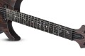 Schecter C-1 Exotic