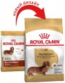 Royal Canin Dachshund Adult 0.5 kg