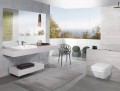 Villeroy & Boch Omnia Architectura 5685R0