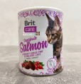 Brit Care Superfruits Salmon 100 g