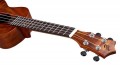 Harley Benton Hawaii Koa Concert Ukulele