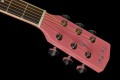 Harley Benton EAX-10