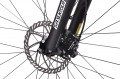 MBM Kairos 29 2023