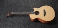 Ibanez AEG200