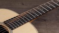 Taylor GS Mini-e Rosewood Plus