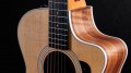 Taylor 212ce