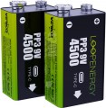 Verico Loop Energy 2xKrona 500 mAh USB Type-C