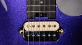 EVH Wolfgang Special Ebony Fingerboard