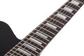 Schecter Robert Smith UltraCure