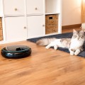 Cecotec Pumba 1600 Purrfect Meal