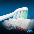 Maltec Toothie X1