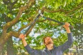 GARDENA EnergyCut Pro L 12051-20