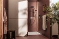 Hansgrohe Raindance Alive S 300 24540000