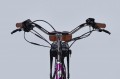 Dorozhnik eRUBY DD FR 17.5 Ah 500W 2025