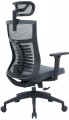 OfficePro Balance OC550