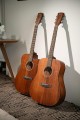 Cort Earth 60MCE