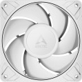 ARCTIC P12 Pro PST White
