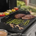 Weber Spirit EP-425