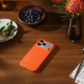 Apple Beats Rugged Case with MagSafe and Camera Control for