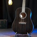 Washburn DFED-U