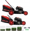 PROLINE P30044