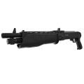 ASG Franchi SPAS 12