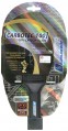 Donic Carbotec 100