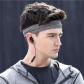 Xiaomi Mi Sports Bluetooth Headset Youth Edition