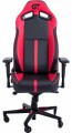 GT Racer X-8009