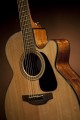 Takamine GN30CE
