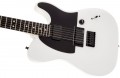 Fender Jim Root Telecaster