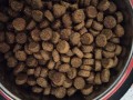 1st Choice Healthy Skin and Coat Salmon 0.9 kg