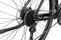 MBM Maxilux 29 2022