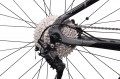 MBM Kairos 29 2023