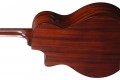 Ibanez AE410